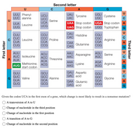 ### Genetic Code and Codon Table

The table below represents the genetic code chart, which translates mRNA codons into amino acids. Each cell in the table shows a codon (a sequence of three nucleotides) and the corresponding amino acid or instruction (e.g., start or stop codons).

#### How to Read the Codon Table
1. **First Letter**: Located on the left side of the table.
2. **Second Letter**: Located on the top of the table.
3. **Third Letter**: Located on the right side of the table.

For example, the codon AUG corresponds to Methionine and also serves as the start codon.

#### Codon to Amino Acid Mapping
- **First Row (First Letter U)**
  - UUU, UUC: Phenylalanine
  - UUA, UUG: Leucine
  - UCU, UCC, UCA, UCG: Serine
  - UAU, UAC: Tyrosine
  - UAA, UAG: Stop codon
  - UGU, UGC: Cysteine
  - UGA: Stop codon
  - UGG: Tryptophan

- **Second Row (First Letter C)**
  - CUU, CUC, CUA, CUG: Leucine
  - CCU, CCC, CCA, CCG: Proline
  - CAU, CAC: Histidine
  - CAA, CAG: Glutamine
  - CGU, CGC, CGA, CGG: Arginine

- **Third Row (First Letter A)**
  - AUU, AUC, AUA: Isoleucine
  - AUG: Methionine; start codon
  - ACU, ACC, ACA, ACG: Threonine
  - AAU, AAC: Asparagine
  - AAA, AAG: Lysine
  - AGU, AGC: Serine
  - AGA, AGG: Arginine

- **Fourth Row (First Letter G)**
  - GUU, GUC, GUA, GUG: Valine
  - GCU, GCC, GCA, GCG: Alanine
  - GAU, GAC: Aspartic acid
  - GAA, GAG