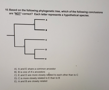 Answered: 10. Based On The Following Phylogenetic… | Bartleby