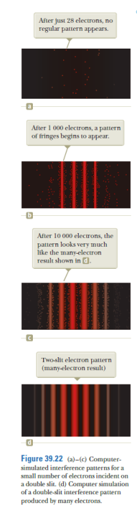 After just 28 electrons, no
regular pattern appears.
a
After 1 000 electrons, a pattern
of fringes begins to appear.
After 10 000 electrons, the
pattern looks very much
like the many-electron
result shown in d.
Two-slit electron pattern
(many-electron result)
Figure 39.22 (a)–(c) Computer-
simulated interference patterns for a
small number of electrons incident on
a double slit. (d) Computer simulation
of a double-slit interference pattern
produced by many electrons.
