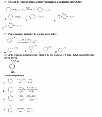 Answered: D. 36. Which of the following choices… | bartleby