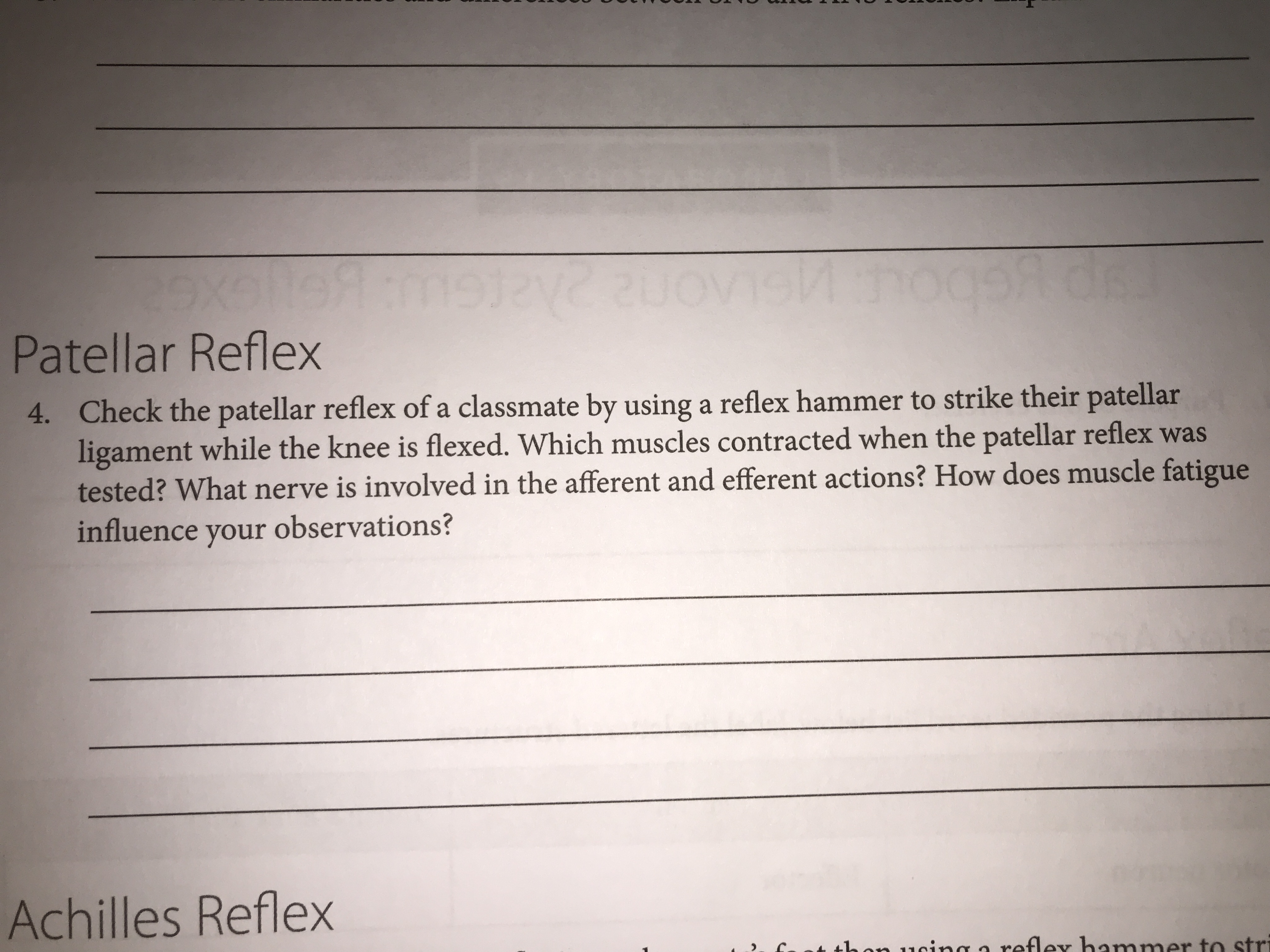 Patellar Reflex
4. Check the patellar reflex of a classmate by using a reflex hammer to strike their patellar
ligament while the knee is flexed. Which muscles contracted when the patellar reflex was
tested? What nerve is involved in the afferent and efferent actions? How does muscle fatigue
influence your
observations?
Achilles Reflex
