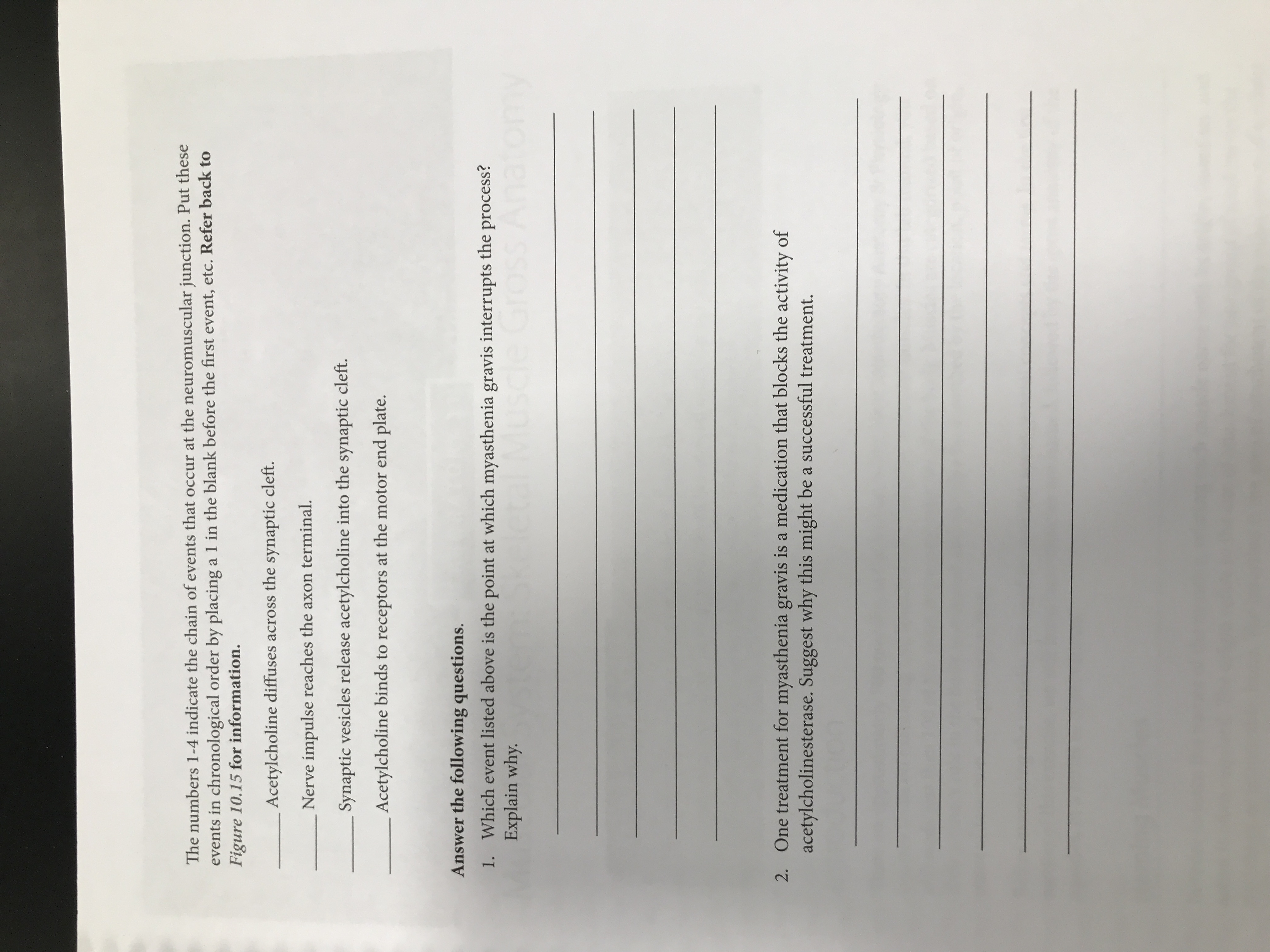 The numbers 1-4 indicate the chain of events that occur at the neuromuscular junction. Put these
events in chronological order by placing a 1 in the blank before the first event, etc. Refer back to
Figure 10.15 for information.
Acetylcholine diffuses across the synaptic cleft.
Nerve impulse reaches the axon terminal.
Synaptic vesicles release acetylcholine into the synaptic cleft.
Acetylcholine binds to receptors at the motor end plate.
Answer the following questions.
1. Which event listed above is the point at which myasthenia gravis interrupts the process?
Explain why.
2. One treatment for myasthenia gravis is a medication that blocks the activity of
acetylcholinesterase. Suggest why this might be a successful treatment.
