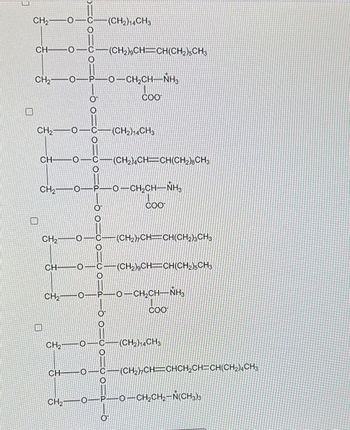 **Phospholipid Molecular Structures**

In this image, we see the molecular structural formulas of various phospholipids. Each phospholipid structure is represented by a specific arrangement of carbon (C), hydrogen (H), oxygen (O), phosphorus (P), and nitrogen (N) atoms. The structures can be detailed as follows:

**First Phospholipid Structure:**
- The structure starts with a CH₂ group connected to an O atom.
- This is followed by a chain with configurations:
  - CH₂-O-(CH₂)₁₄CH₃
  - CH-O-(CH₂)₉CH=CH(CH₂)₅CH₃
- A phosphate group (P=O and P-O bonds) is linked, followed by:
  - CH₂CH-NH₃⁺
  - COO⁻

**Second Phospholipid Structure:**
- Similar initial part with a CH₂ group connected to an O atom.
- The structure continues with:
  - CH₂-O-(CH₂)₁₄CH₃
  - CH-O-(CH₂)₄CH=CH(CH₂)₈CH₃
- Includes the phosphate group again, followed by:
  - CH₂CH-NH₃⁺
  - COO⁻

**Third Phospholipid Structure:**
- Alternately structured with an O-CO group connected to:
  - CH₂-O-C-(CH₂)₇CH=CH(CH₂)₃CH₃
  - CH-O-C-(CH₂)₉CH=CH(CH₂)₅CH₃
- Contains the phosphate group:
  - CH₂CH-NH₃⁺
  - COO⁻

**Fourth Phospholipid Structure:**
- Initial structure similarly starts with a CH₂ group connected to an O atom.
- The chains in this structure are:
  - CH₂-O-(CH₂)₁₄CH₃
  - CH-O-(CH₂)₂₇CH=CHCH₂CH=CH(CH₂)₄CH₃
- It features a consistent phosphate group, ending with:
  - CH₂CH₂-N(CH₃)₃⁺

These detailed molecular formulas help in understanding the composition and structural differences among various phospholipids, which is critical for studies in biochemistry