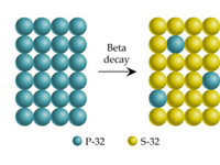 Beta
decay
P-32
S-32
