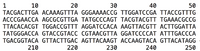 10
20
30
40
50
TACGACTTGA ACAAAGTTTA GGGAAAACCG TTGGATCCGA TTACCGTTTG
ACCCGAACCA AGCGCGTTGA TATGCCCAGT TACGTACGTT TGAAACGCCG
TTACACACGT TGGACCGTTT AGGATCCACA AAGTTACGTT ACTTGGATTA
TATGGGACCA GTACCGTACC CGTAACGTTA GGATCCCCAT ATTTGACCCA
TGACGGTACA GTTACTTGAC AGTTACAAGT ACCAAGTACA GTTACATAGG
210
220
230
240
250
