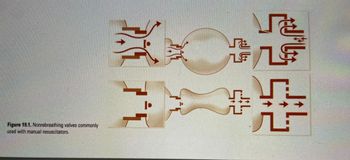 Figure 19.1. Nonrebreathing valves commonly
used with manual resuscitators.
지
[•
Þ►
L
H
L
SB