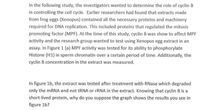 In the following study, the investigators wanted to determine the role of cyclin B
in controlling the cell cycle. Earlier researchers had found that extracts made
from frog eggs (Xenopus) contained all the necessary proteins and machinery
required for DNA replication. This included proteins that regulated the mitosis
promoting factor (MPF). At the time of this study, cyclin B was show to affect MPF
activity and the research group wanted to test using Xenopus egg extract in an
assay. In Figure 1 (a) MPF activity was tested for its ability to phosphorylate
Histone (H1) in sperm chromatin over a certain period of time. Additionally, the
cyclin B concentration in the extract was measured.
In figure 1b, the extract was tested after treatment with RNase which degraded
only the mRNA and not RNA or FRNA in the extract. Knowing that cyclin B is a
short-lived protein, why do you suppose the graph shows the results you see in
figure 1b?
