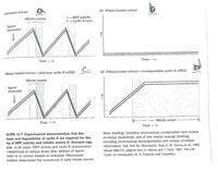 Untreated extract
(b) RNase-treated axtract
Mitotic events
-- MPF activity
- Cyclin B cone
Sperm
chromatin
Time
Time >
RNase-treated extract + wild-type cyclin B MRNA
(d) RNase-treated extract + nondegradable cyclin B MRNA
Mitotic events
Sperm
chromatin
Time
Mitotic arrest
Time >
IGURE 13-7 Experimental demonstration that the
thesis and degradation of cyclin B are required for the
ing of MPF activity and mitotic events in Xenopus egg
acts. In all cases, MPF activity and cyclin B concentration
a determined at various times after addition of sperm
matin to an extract treated as indicatod. Microscopic
vations detorminod the occurrence of early mitotic events
(blue shading), including chromosome condensation and nuclear
envelope breakdown, and of late events (orange shading).
including chromosome decondensation and nuclear envelope
reformation. Soe text for discussion. ISee A. W. Murray et al, 1989,
Nature 339:275; adapted from A. Murray and T, Hunt, 1993, The Cel
Cycle: An introduction, W. H. Freeman and Company)
