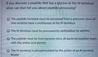 If you discover a peptide that has a glycine at the N-terminus
what can that tell you about peptide processing?
O The peptide hormone must be processed from a precursor since all
new proteins have a methionine at the N-terminus
The N-terminus must be processed by methylation by adoMet
O The peptide must be from bacteria since all bacterial peptides begin
with the amino acid glycine
The N-terminus is phosphorylated by the action of an N-terminal
kinase
