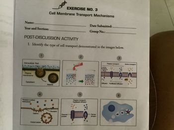 Name:
Year and Section:
Extracellular fluid
POST-DISCUSSION ACTIVITY
I. Identify the type of cell transport demonstrated in the images below.
Plasma
membranne
Cytoplasm
Receptor-medited
endocytosia
Clathrin
EXERCISE NO. 3
Cell Membrane Transport Mechanisms
Coated vesicle
Vesicle
Receptor
Channel-
protein
2
5
Date Submitted:
Group No.:.
Passive transport:
Facilitated diffusion
Carrier
protein
3
Passive transport
Diffusion Facilitated diffusion
6
Active transport
20000