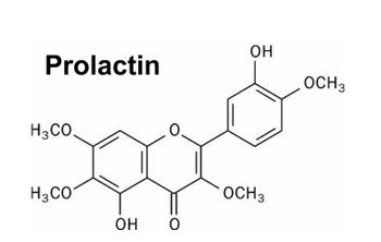 Prolactin
H3CO.
H3CO
ОН
0
ОН
ОСН3
OCH3