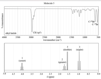 The image consists of two graphs which provide spectroscopic data for "Molecule 5."

### Top Graph: Infrared (IR) Spectrum

- **Y-axis:** % Transmittance
- **X-axis:** Wavenumber (cm⁻¹), ranging from 4000 to 500

#### Key Features:
- **Alkyl Halide Absorption:** Noted around the 3000 cm⁻¹ mark, indicating the presence of C-H (sp³) bonds.
- **Significant Peaks:** Two peaks are labeled as C-81Br and C-79Br, appearing close to 500 cm⁻¹, indicative of C-Br bond stretching.

### Bottom Graph: Nuclear Magnetic Resonance (NMR) Spectrum

- **Y-axis:** No specific label, generally represents intensity.
- **X-axis:** Chemical shift (δ, ppm), ranging from 5.0 to 0.0

#### Peak Characteristics:
1. **1 (sextet):** Appears around 3.8 ppm, likely representing a split peak due to coupling with adjacent protons.
2. **2 (quintet):** At approximately 1.7 ppm, showing a quintet pattern.
3. **3 (doublet and triplet):**
   - *Doublet:* Around 1.4 ppm, typically suggesting two neighboring equivalent hydrogens.
   - *Triplet:* Near 1.0 ppm, indicating three neighboring equivalent hydrogens.

These spectra are typically used to identify functional groups and structural components within the molecule, aiding in molecular characterization and analysis.