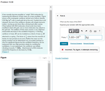 Problem 15.58
It has recently become possible to "weigh" DNA molecules by
measuring the influence of their mass on a nano-oscillator. Figure
shows a thin rectangular cantilever etched out of silicon (density
2300 kg/m³) with a small gold dot at the end. If pulled down and
released, the end of the cantilever vibrates with simple harmonic
motion, moving up and down like a diving board after a jump.
When bathed with DNA molecules whose ends have been
modified to bind with gold, one or more molecules may attach to
the gold dot. The addition of their mass causes a very slight-but
measurable-decrease in the oscillation frequency. A vibrating
cantilever of mass M can be modeled as a block of mass M
attached to a spring. (The factor of arises from the moment of
inertia of a bar pivoted at one end.) Neither the mass nor the
spring constant can be determined very accurately-perhaps to
only two significant figures-but the oscillation frequency can be
measured with very high precision simply by counting the
oscillations. In one experiment, the cantilever was initially
vibrating at exactly 11 MHz. Attachment of a DNA molecule
caused the frequency to decrease by 45 Hz.
(Figure 1)
Figure
4000 nm
1400 nm
Thickness 100 nm
=
1 of 1
Part A
What was the mass of the DNA?
Express your answer with the appropriate units.
MDNA3.68 10²¹
●
kg
Provide Feedback
www.
Submit Previous Answers Request Answer
* Incorrect; Try Again; 4 attempts remaining
?