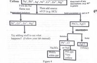 Answered: Create An Anion Flow Chart Without… | Bartleby