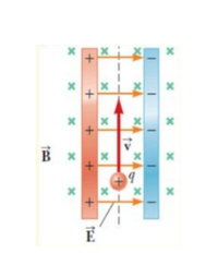 Answered: Charged charge entering the region… | bartleby