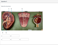 Question 5
Name the structures:
1. 2.
3.
Nee
Re d
Natle
4.
5.
1
3
4
