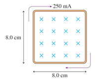 - 250 mA
X X X
хх
хх
х
8.0 сm
хх
хх
8.0 cm
