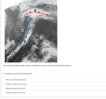 C
A
This infrared satellite image shows a midlatitude cyclone over the North Pacific Ocean.
9. Clouds tend to form at A because:
Warm air is lifted by cold air.
O Cold air is lifted by warm air.
O Warm air overruns cold air.
B
O Cold air overruns warm air.