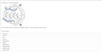 For questions 1 to 7, consider the figure below:
5
5
9
7. Number 7 refers to:
Tropical front.
Polar front.
ITCZ.
O Jet stream.
This is a schematic of the general circulation of the atmosphere. Numbers 1 to 7 refer to specific features of the circulation.
Pineapple express.
O Easterlies.
Subtropical highs.
O Midlatitude cyclones.
3
O Upper-level trough.
O Upper-level ridge.
9
5
5