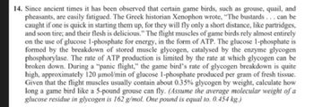 14. Since ancient times it has been observed that certain game birds, such as grouse, quail, and
pheasants, are easily fatigued. The Greek historian Xenophon wrote, "The bustards... can be
caught if one is quick in starting them up, for they will fly only a short distance, like partridges,
and soon tire; and their flesh is delicious." The flight muscles of game birds rely almost entirely
on the use of glucose 1-phosphate for energy, in the form of ATP. The glucose 1-phosphate is
formed by the breakdown of stored muscle glycogen, catalysed by the enzyme glycogen
phosphorylase. The rate of ATP production is limited by the rate at which glycogen can be
broken down. During a "panic flight," the game bird's rate of glycogen breakdown is quite
high, approximately 120 μmol/min of glucose 1-phosphate produced per gram of fresh tissue.
Given that the flight muscles usually contain about 0.35% glycogen by weight, calculate how
long a game bird like a 5-pound grouse can fly. (Assume the average molecular weight of a
glucose residue in glycogen is 162 g/mol. One pound is equal to. 0.454 kg.)