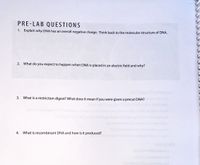 PRE-LAB QUESTIONS
1. Explain why DNA has an overall negative charge. Think back to the molecular structure of DNA.
2. What do you expect to happen when DNA is placed in an electric field and why?
3. What is a restriction digest? What does it mean if you were given a precut DNA?
4. What is recombinant DNA and how is it produced?
