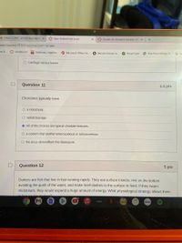 M Inbox (7,295) - ahmahdgamble44 X
A Quiz: Online Final Exam
A Grades for Ahmah'd Gamble: 202 x
+
com/courses/31835/quizzes/234118/take
nts R.
A Dashboard
M Mathway | Algebra.
O Microsoft Office Ho...
O Muscle Groups to..
O EssayTyper
O One-Piece Manga O.
G
O Cartilage versus bones
Question 11
1.5 pts
Chordates typically have
O a notochord.
O radialcleavage.
O All of the choices are typical chordate features.
O a coelom that iseither enterocoelous or schizocoelous.
O the anus derivedfrom the blastopore.
Question 12
5 pts
Darters are fish that live in fast-running rapids. They eat surface insects, rest on the bottom
avoiding the push of the water, and make brief dashes to the surface to feed. If they swam
midstream, they would expend a huge amount of energy. What physiological strategy allows them
an the bettema
hulu
ROKU
