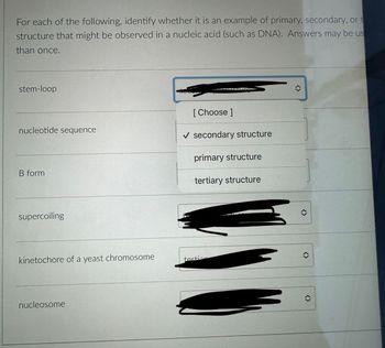 For each of the following, identify whether it is an example of primary, secondary, or t
structure that might be observed in a nucleic acid (such as DNA). Answers may be us
than once.
stem-loop
nucleotide sequence
B form
supercoiling
kinetochore of a yeast chromosome
nucleosome
[Choose ]
✓ secondary structure
primary structure
tertiary structure
tertion
<>
<>
<>