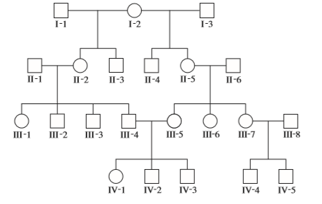 I-1
I-2
I-3
П-1
II-2
П-3
П-4
П-5
II-6
Ш-1
III-2
III-3
Ш-4
Ш-5
Ш-6
III-7
III-8
IV-1
IV-2
IV-3
IV-4
IV-5
