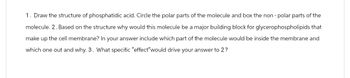 1. Draw the structure of phosphatidic acid. Circle the polar parts of the molecule and box the non-polar parts of the
molecule. 2. Based on the structure why would this molecule be a major building block for
glycerophospholipids that
make up the cell membrane? In your answer include which part of the molecule would be inside the membrane and
which one out and why. 3. What specific "effect"would drive your answer to 2?