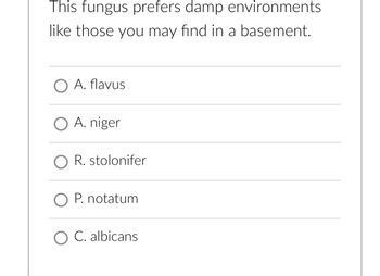 This fungus prefers damp environments
like those you may find in a basement.
O A. flavus
O A. niger
O R. stolonifer
O P. notatum
O C. albicans