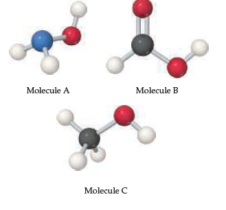 Molecule A
Molecule B
Molecule C
