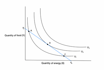 P₁
Quantity of food (Y)
A
B
Quantity of energy (X)
C
Pe
U₁
U₂
U3
