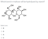 Which bond in maltose will be hydrolysed by starch?
OH
DE
HO"
B
'"OH
ОН
HO
Select one:
O B
O D
O A
