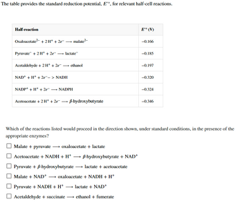 The table provides the standard reduction potential, E'º, for relevant half-cell reactions.
Half-reaction
Oxaloacetate² + 2H+ + 2e¯ malate²-
→
Pyruvate + 2 H+ + 2e- → lactate
Acetaldehyde + 2H+ + 2e- → ethanol
NAD+ + H+ + 2e--> NADH
NADP+ + H+ + 2e- → NADPH
Acetoacetate + 2H+ + 2e¯
B-hydroxybutyrate
Malate + pyruvate →→ oxaloacetate + lactate
Acetoacetate + NADH + H* →→ ß-hydroxybutyrate + NAD+
Pyruvate + ß-hydroxybutyrate → lactate + acetoacetate
oxaloacetate + NADH + H+
Malate + NAD+
Pyruvate + NADH + H+
→ lactate + NAD+
Acetaldehyde + succinate
E'° (V)
ethanol + fumerate
-0.166
-0.185
-0.197
-0.320
-0.324
Which of the reactions listed would proceed in the direction shown, under standard conditions, in the presence of the
appropriate enzymes?
-0.346