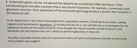 1. Eukaryotic genes can be introduced into bacteria by recombinant DNA techniques. If the
introduced gene encodes a protein that is also found in bacteria-for example, a universally used
glycolysis enzyme–then expression of the eukaryotic gene may produce a protein that functions in
the bacterial cell.
In an experiment, the entire mouse gene for a glycolysis enzyme, including its promoter, coding
regions and termination sequence, is introduced into an E. coli cell that has a mutant gene for the
bacterial version of the same enzyme. Even though the mouse enzyme should function in the
bactèrial cell and restore the cell's ability to perform glycolysis, it does not.
Provide a possible reason why this experiment does not work and propose a solution to overcome
the problem you suggest.
