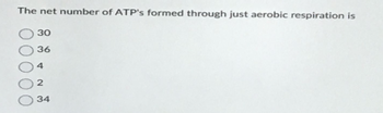 The net number of ATP's formed through just aerobic respiration is
30
36
2
34