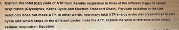 3. Explain the total (net) yield of ATP from Aerobic respiration in three of the different stages of cellular
respiration (Glycolysis, Krebs Cycle and Electron Transport Chain). Pyruvate oxidation or the Link
reactions does not make ATP. In other words, how many total ATP energy molecules are produced in each
cycle and which steps in the different cycles make the ATP. Explain the yield in reference to the overall
cellular respiration Equation.