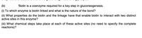(b)
Biotin is a coenzyme required for a key step in gluconeogenesis.
(i) To which enzyme is biotin linked and what is the nature of the bond?
(ii) What properties do the biotin and the linkage have that enable biotin to interact with two distinct
active sites in this enzyme?
(iii) What chemical steps take place at each of these active sites (no need to specify the complete
reactions)?
