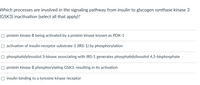 Which processes are involved in the signaling pathway from insulin to glycogen synthase kinase 3
(GSK3) inactivation (select all that apply)?
O protein kinase B being activated by a protein kinase known as PDK-1
O activation of insulin receptor substrate-1 (IRS-1) by phosphorylation
O phosphatidylinositol 3-kinase associating with IRS-1 generates phosphatidylinositol 4,5-bisphosphate
O protein kinase B phosphorylating GSK3, resulting in its activation
O insulin binding to a tyrosine kinase receptor
