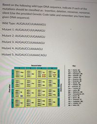 Based on the following wild type DNA sequence, indicate if each of the
mutations should be classified as : insertion, deletion, missense, nonsense,
silent (Use the provided Genetic Code table and remember you have been
given DNA sequence).
Wild Type: AUGAUUCUUAAAAGU
Mutant 1: AUGAUUCUUUAAAGU
Mutant 2: AUGAUUCUUGAAAGU
Mutant 3: AUGAUCCUUAAAAGU
Mutant 4: AUGAUCCUAAAAGU
Mutant 5: AUGAUCCUUAAACAGU
Socond letter
Key:
Ala = Alanine (A)
Arg Arginine (R)
Asn =
UUU
}
UAU Tyr
UGU
UGC Cys
UGA STOP
UGG Trp
UCU
UCC
UUC
Phe
Ser
Asparagine (N)
Asp = Aspartate (D)
Cys Cysteine (C)
Gin = Glutamine (Q)
Glu = Glutamate (E)
Gly = Glycine (G)
His = Histidine (H)
le = Isoleucine (1)
Leucine (L)
Lys Lysine (K)
Met = Methionine (M)
Phe = Phenylalanine (F)
Pro Proline (P)
Ser = Serine (S)
Thr Threonine (T)
Trp Tryptophan (W)
Tyr Tyrosine (Y)
- Valine (V)
UCA
UCG
UAA STOP
UAG STOP
UUA
Leu
UUG S
CCU
CC
CGU
CUU
CUC
His
CGC
Arg
Leu
Pro
CAA Gin
CGA
CCA
CCG
CUA
CUG
CGG
Leu =
AGU
AUU
AUC } lle
AUA
ACU
ACC
ACA
Ser
AAC Asn
AGC
Thr
AGA
ACG
AAG Lys
AGG Arg
AUG Met
GUU
GUC
GCU
GCC
GGT
GGC
Gly
GGA
GAC Asp
%3D
Val
Ala
GUA
GUG
GCA
GCG)
Glu
GGG)
Val
Third letter
UCAG
UCAO
UCAO
First letter
