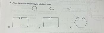 5. Draw a line to match each enzyme with its substrate.
AR
VA lo
VOLATILE
L
b)
c) SALIVA: