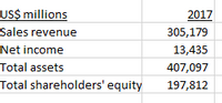 US$ millions
Sales revenue
2017
305,179
Net income
13,435
Total assets
407,097
Total shareholders' equity
197,812
