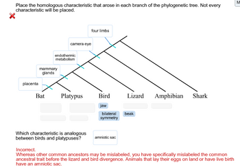 Answered: characteristic will be placed. placenta… | bartleby