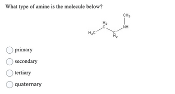 What type of amine is the molecule below?
primary
secondary
tertiary
quaternary
H₂C
H₂
H₂
CH 3
NH