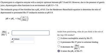 Chymotrypsin is a digestive enzyme with a catalytic optimum between pH 7.8 and 8.0. However, due to the presence of gastric juice, chymotrypsin often functions in an environment of pH 5.5–7.0.

The imidazole group of free histidine has a pKₐ of 6.0. Use the Henderson–Hasselbalch equation to determine the ratio of deprotonated to protonated His 57 imidazole moieties at pH 5.9.

\[ \text{pH} = \text{p}K_a + \log \left(\frac{[\text{A}^-]}{[\text{HA}]}\right) \]

\[
\left[\frac{\text{His}}{\text{His}^+}\right] = \text{(input box)}
\]

Aside from positioning, what do you think is the role of the Asp 102 residue?
- ○ It allows nucleophilic attack by His 57.
- ○ It protonates His 57 prior to substrate binding.
- ○ It decreases the \(\left[\frac{\text{His}}{\text{His}^+}\right)\) ratio.
- ● It raises the pKₐ of His 57.

There's a diagrammatic representation involving a fraction indicating the ratio of \([\text{His}]/[\text{His}^+]\), with a tools button option labeled \(x10\).