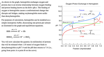 As shown in the graph, hemoglobin exchanges oxygen and
protons due to an inverse relationship between oxygen binding
and proton binding known as the Bohr effect. The binding of
oxygen to hemoglobin causes a conformational change that
disrupts salt bridges, making oxyhemoglobin more acidic
than deoxyhemoglobin.
For purposes of calculation, hemoglobin can be modeled as a
simple monoprotic buffer, dissociating one proton per subunit
as illustrated in the graph and equilibrium equations.
pK₁=7.8
HHb
H+ + Hb
pK₁=6.7
HHbO₂
H+ + HbO₂
You will now calculate the quantity (in millimoles) of protons
that will be released when 1.55 mmol of oxygen binds to
deoxyhemoglobin at pH 7.4 and the pH then returns to 7.4 (i.e.,
going from point A to point B on the curve).
11.0
10.0
9.0
8.0
pH 7.0
6.0
5.0
4.0
Oxygen-Proton Exchange in Hemoglobin
Blood pH (7.4) A
HHb
HHbO₂
Tissues
H+ + HCO3
Hb
HbO₂
H* + HCO3
Lungs
H₂O
CO₂
H₂O
B
CO₂
Hb
HbO₂
0.0 0.1 0.2 0.3 0.4 0.5 0.6 0.7 0.8 0.9 1.0
Fraction Unprotonated