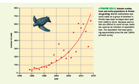 (AGURE E31-3 Atiantie leathor-
baok sea turtle populations ih Rornda
are growing Allantic leatherback sea
turtle nests on a group of beaches in
Rorlda have been survayed each year
800-
from 1080 to 2014. Because sea tur-
800-
tles are difficult to count at sea, nests
are used as an Indicator of population
stze. The population has been grow-
Ing exponentialy since the late 1980s
(smooth curve
B00-
200-
100-
1085
1000
1006
2000
2006
2010
2018
yoar
number of nooto
