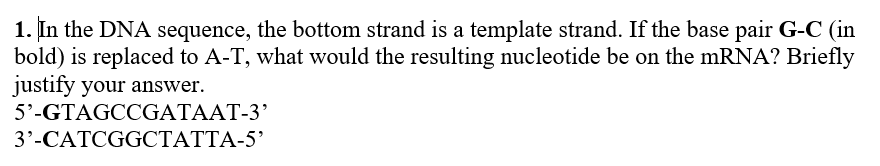 1. In the DNA sequence, the bottom strand is a template strand. If the base pair G-C (in
bold) is replaced to A-T, what would the resulting nucleotide be on the mRNA? Briefly
justify your answer.
5'-GTAGCCGATAAT-3’
3'-CATCGGCTATTA-5’
