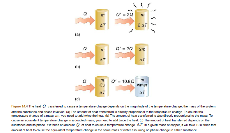 Answered: 14.2 Temperature Change And Heat… | Bartleby