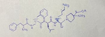 NH₂
2+
-OH
-NH2.